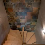 Mountain Pearl Golte *