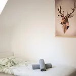 Mountain Pearl Golte * Mozirje