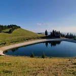 Mountain Pearl Golte