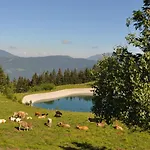 Mountain Pearl Golte Apartman *