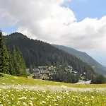 Mountain Pearl Golte Mozirje