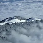 Mountain Pearl Golte