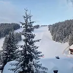 Mountain Pearl Golte *