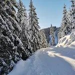 Apartman Mountain Pearl Golte Mozirje