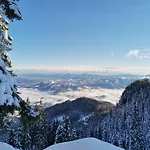 Mountain Pearl Golte