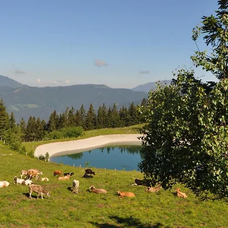 Mountain Pearl Golte Апартаменты *