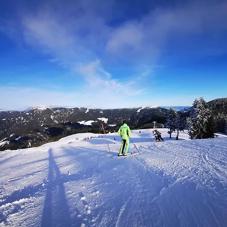 Mountain Pearl Golte * Mozirje