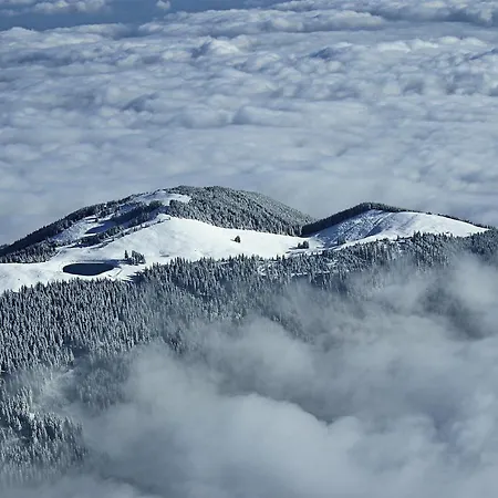 Mountain Pearl Golte