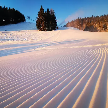 Mountain Pearl Golte