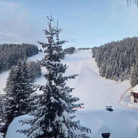 Mountain Pearl Golte *