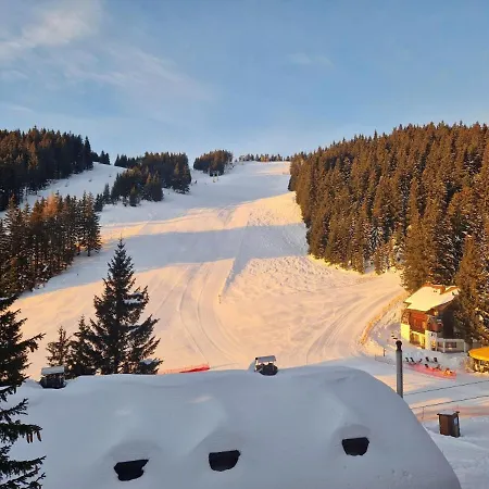 Mountain Pearl Golte *