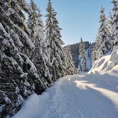 Appartement Mountain Pearl Golte Mozirje