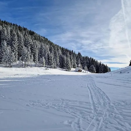 Mountain Pearl Golte