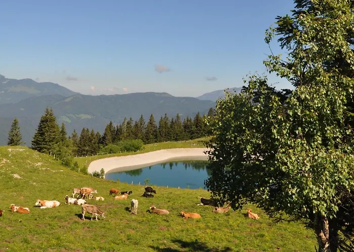 Mountain Pearl Golte Appartamento *