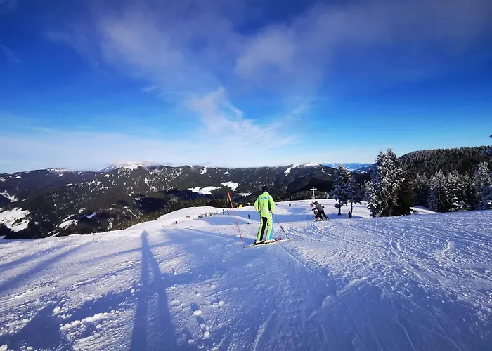 Mountain Pearl Golte * Mozirje