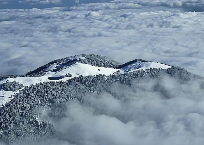 Mountain Pearl Golte