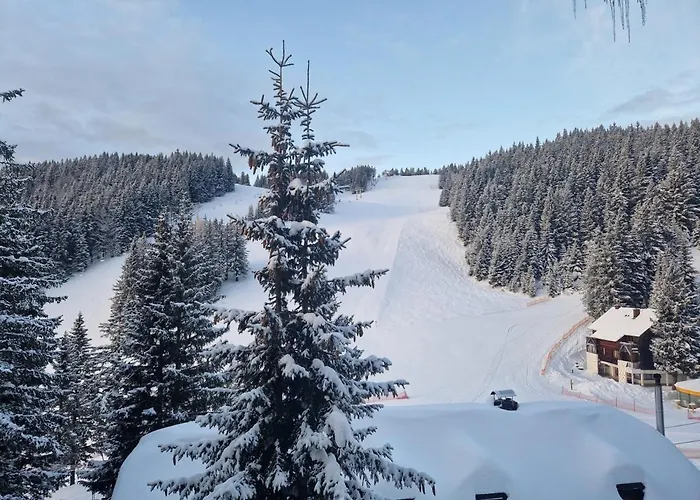 Mountain Pearl Golte *