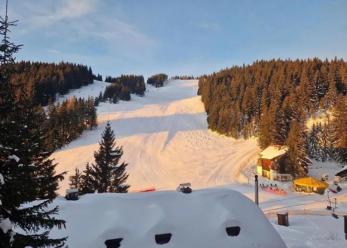 Mountain Pearl Golte *