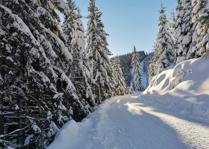 Appartamento Mountain Pearl Golte Mozirje