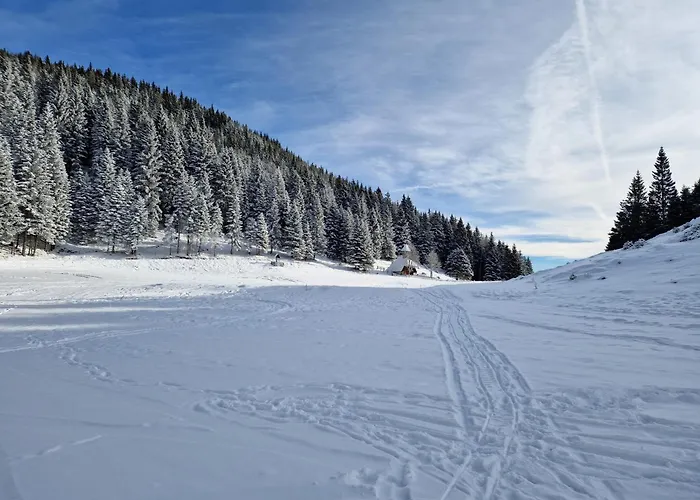 Mountain Pearl Golte